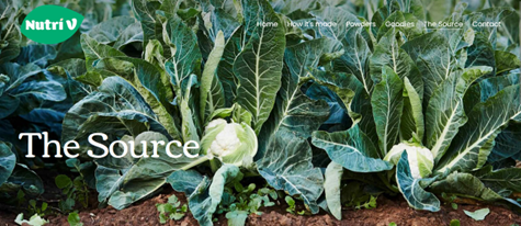 nutri v website screenshot