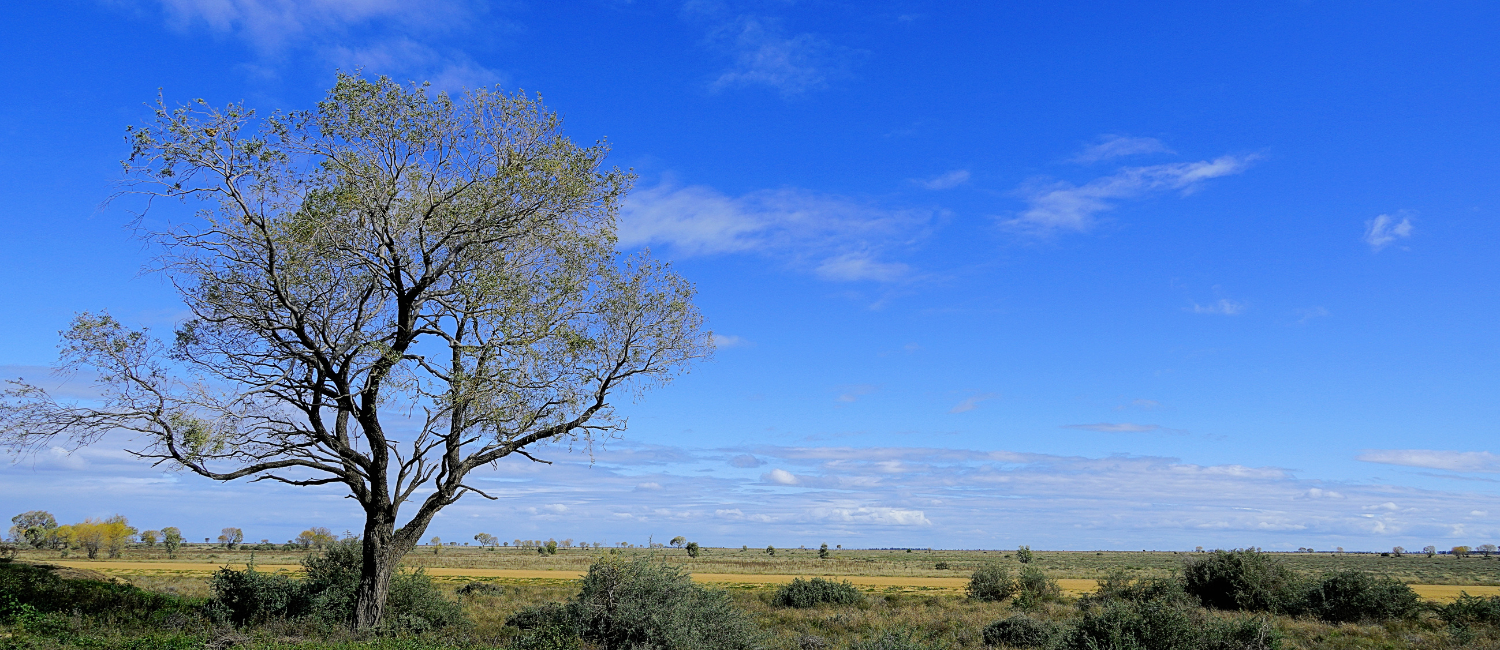 Omnisure rural and farm insurance, farm clients